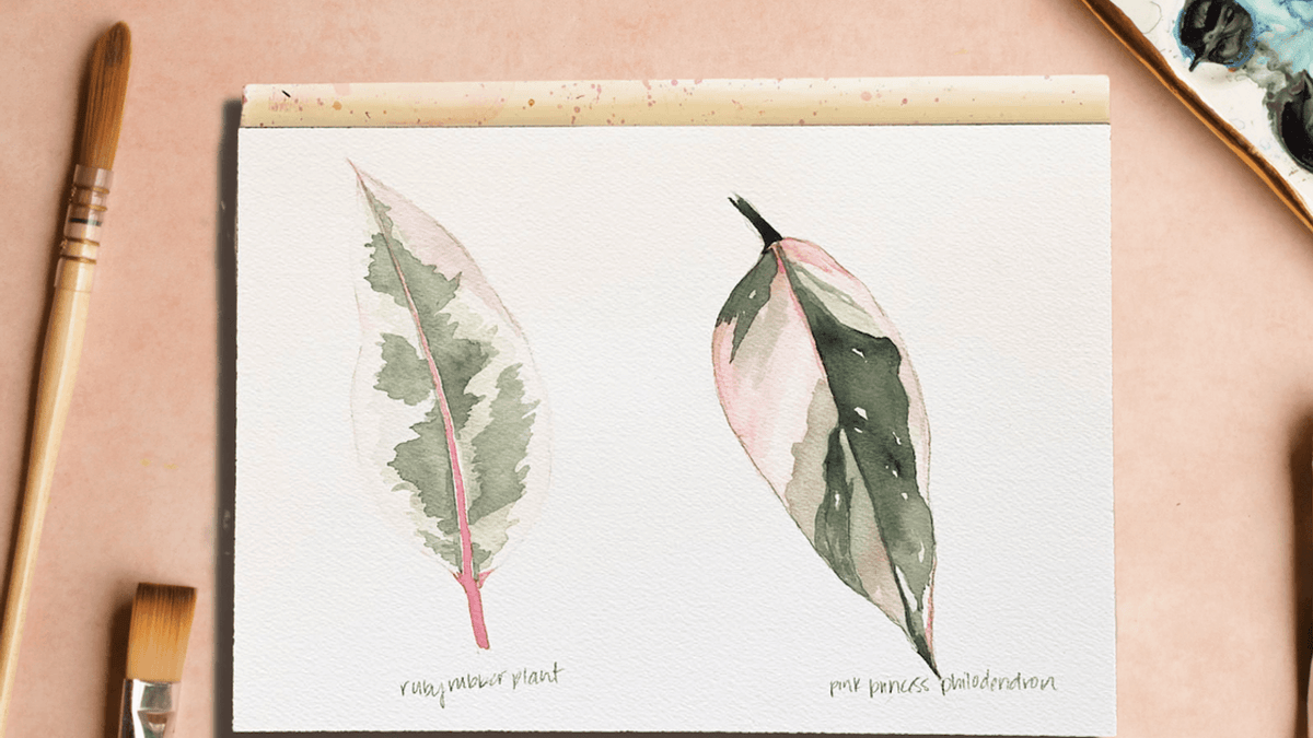 How to paint a plant portrait