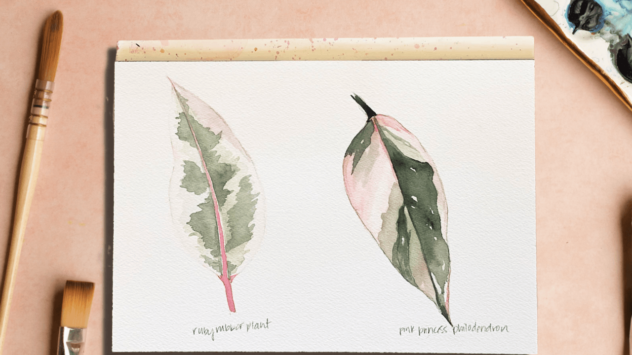 How to paint a plant portrait
