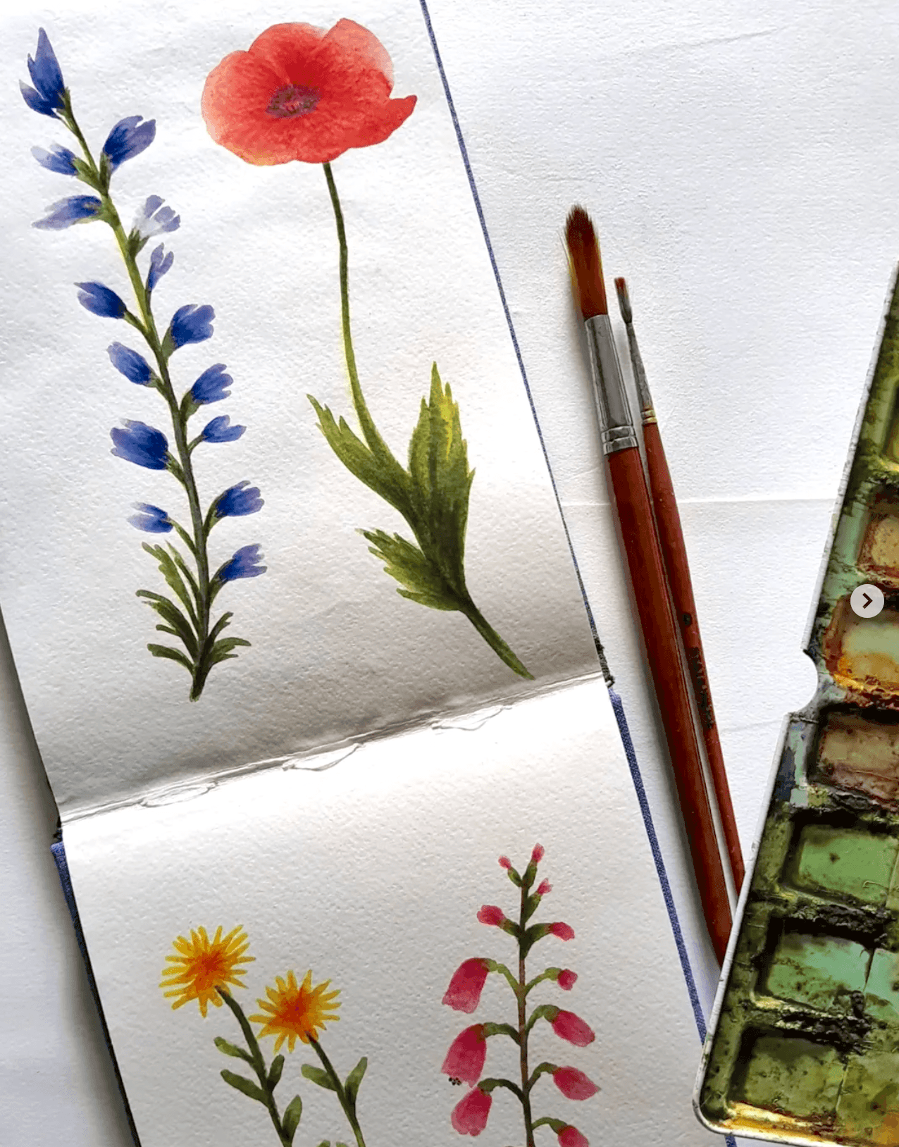 watercolor florals