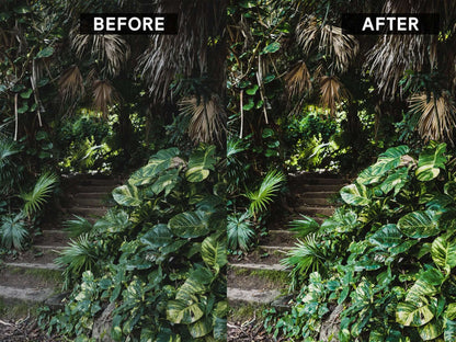 Lightroom preset before and after