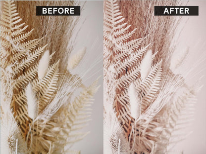 Lightroom preset before and after