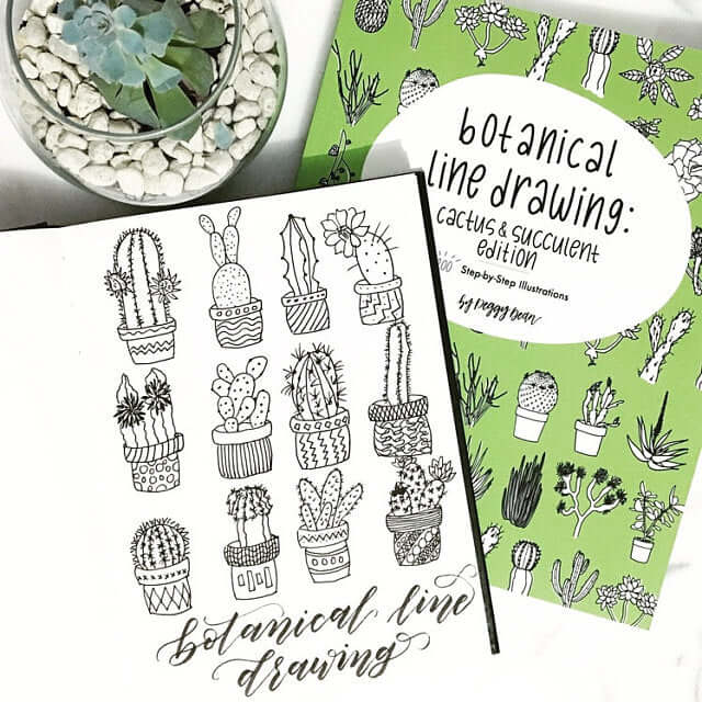 How to draw cacti and succulents step-by-step