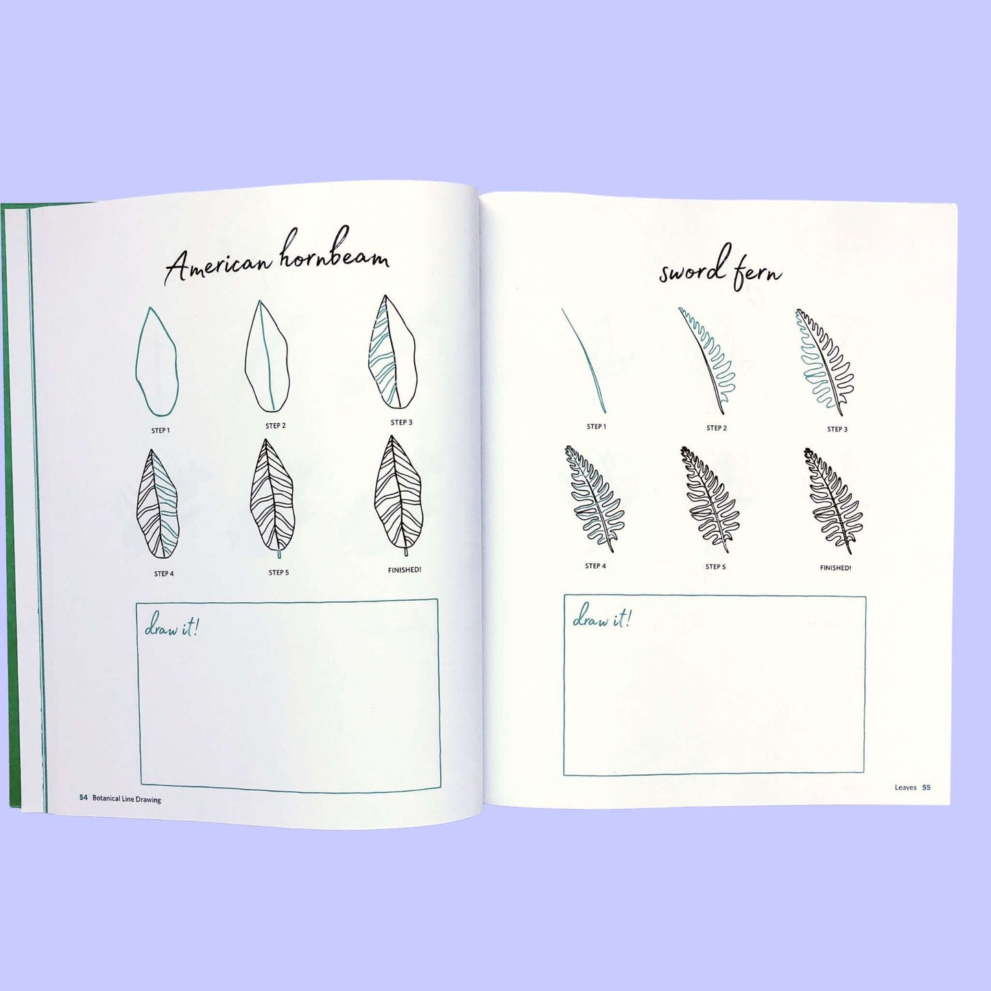 How to draw line art leaves